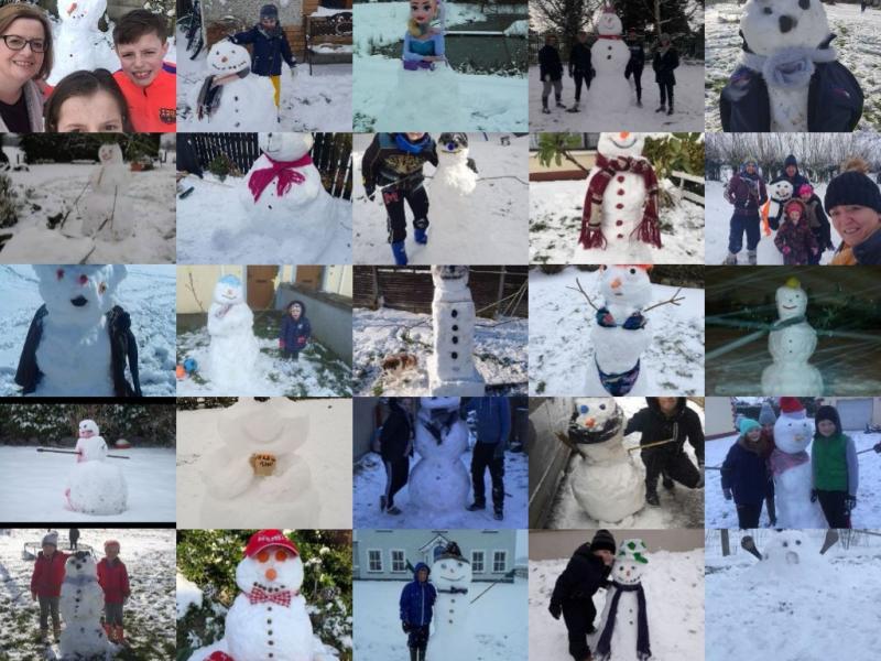 VOTE: Vote now to chose the Best Snowman in Offaly