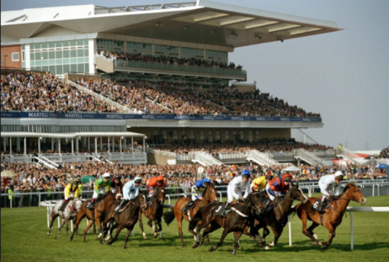 THE PUNTER'S EYE: Aintree Grand National Tips and Preview 
