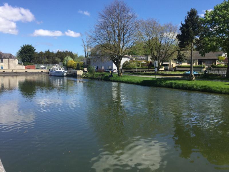 'Disheartened' Edenderry Tidy Towns plead with people to stop illegal dumping 