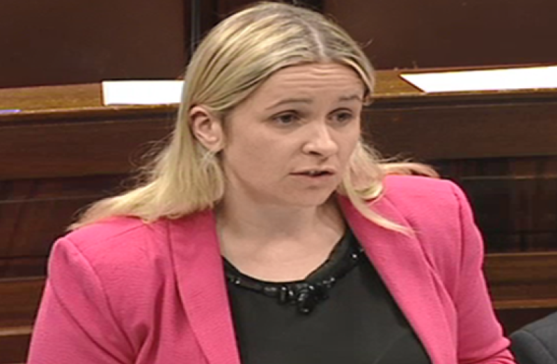 Offaly TD Carol Nolan calls referendum celebrations 'shameful'