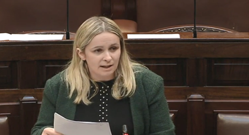 Offaly TD calls for removal of conditions from European Commission&rsquo;s Brexit Beef plan