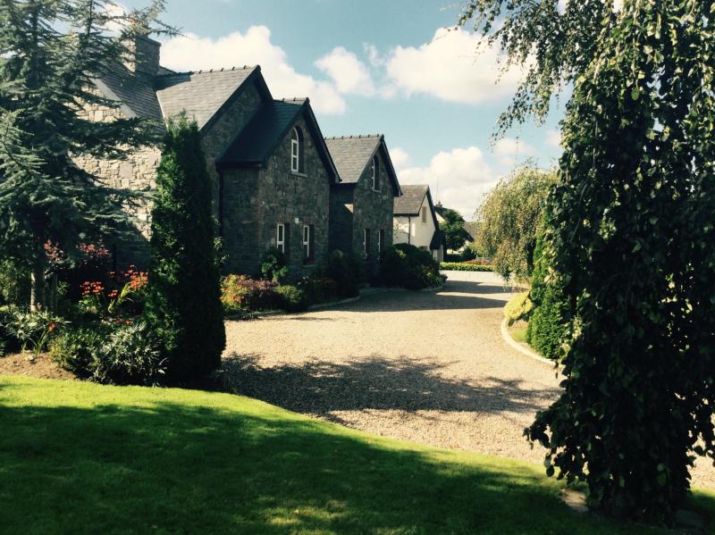 The search is on to find Edenderry's best kept gardens 