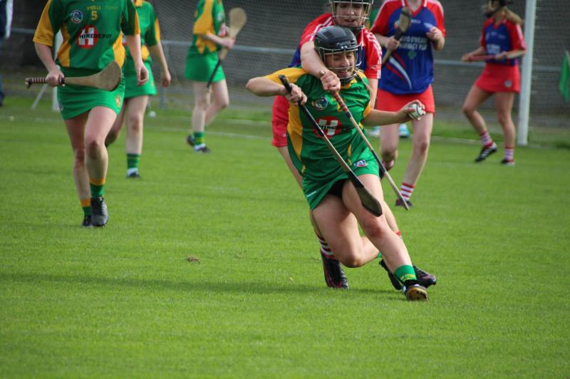 PREVIEW: Offaly's 2019 Senior Camogie Championship