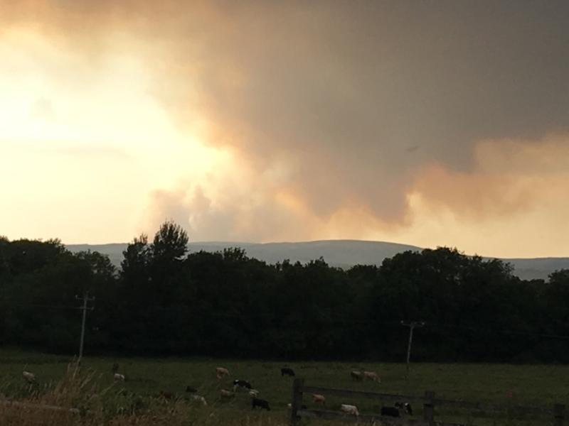 Gardai to act as fire sightseers hampering fire crews tackling Slieve Bloom blaze
