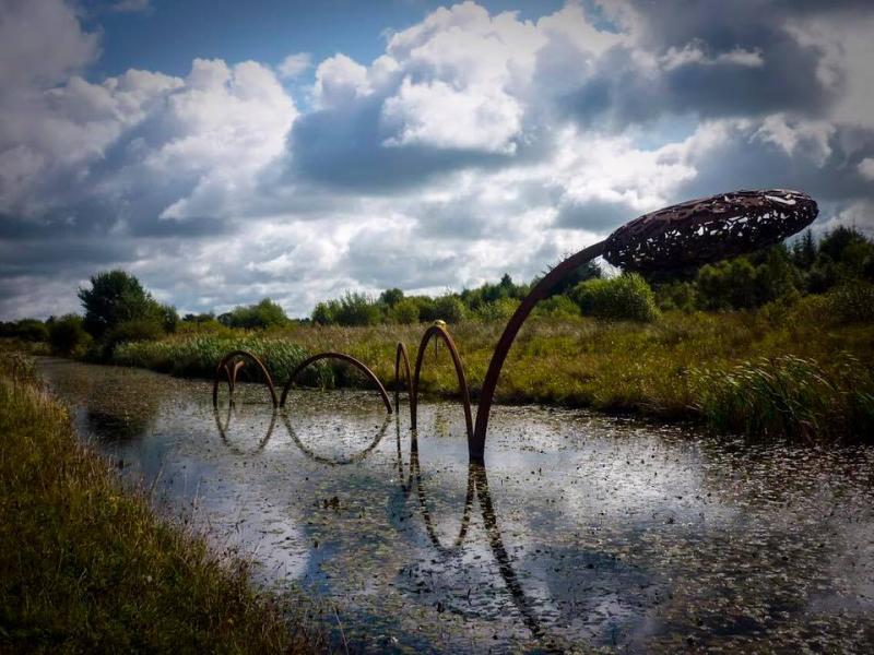 Fascinating Offaly history to feature in new book 