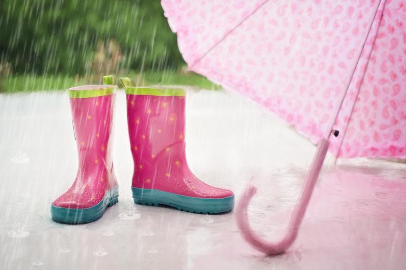 Latest Met Eireann weather forecast for Day 1 of the National Ploughing Championships