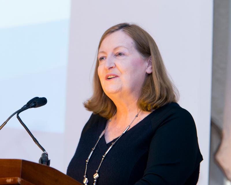 Health and social care professionals in Offaly 'must be registered with CORU'