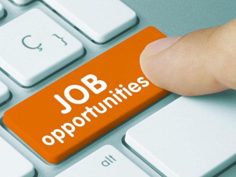 Expanding Offaly company hiring for several positions