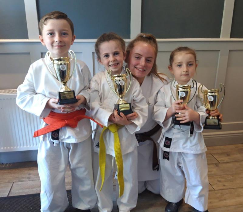 Success for Offaly's mini martial arts fighters 