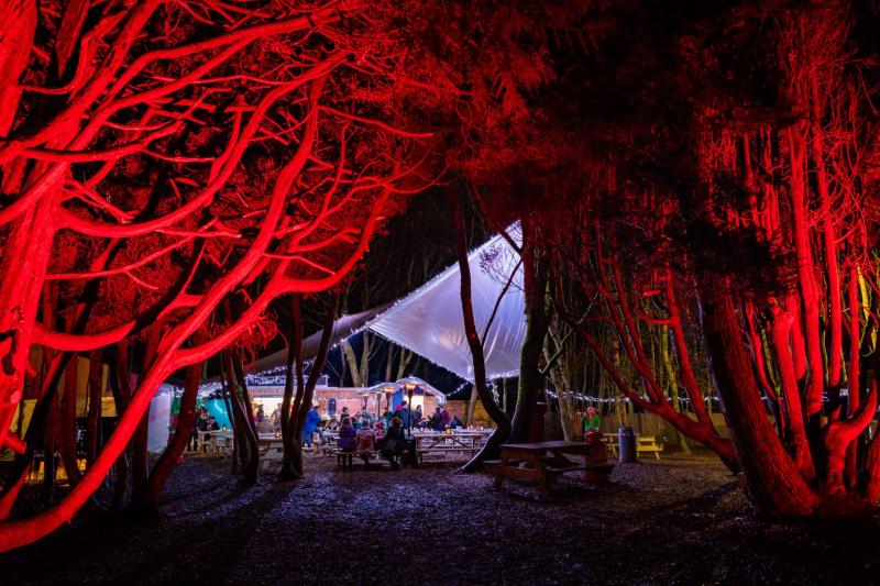 WIN: A family pass for the fabulous Castlecomer Christmas Experience