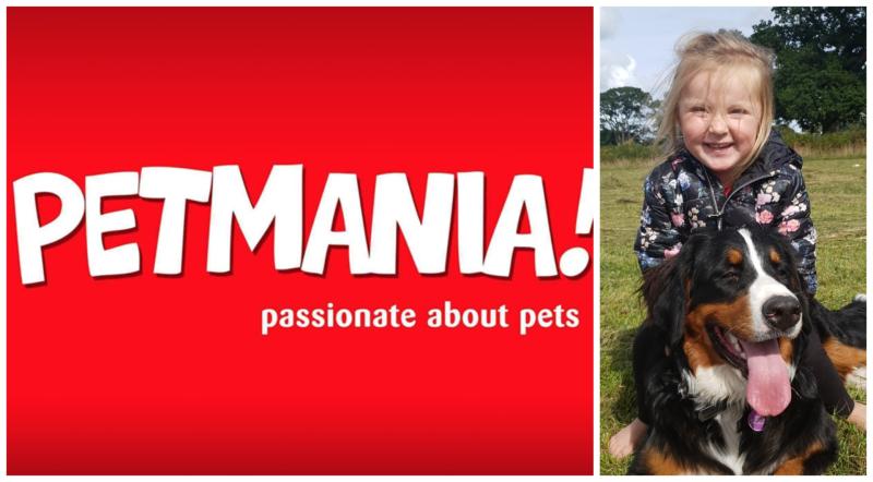 Offaly dog's winning personality shines bright in pet competition 