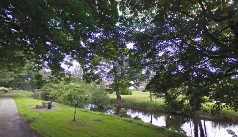 Council to consult with public on future of Offaly river 