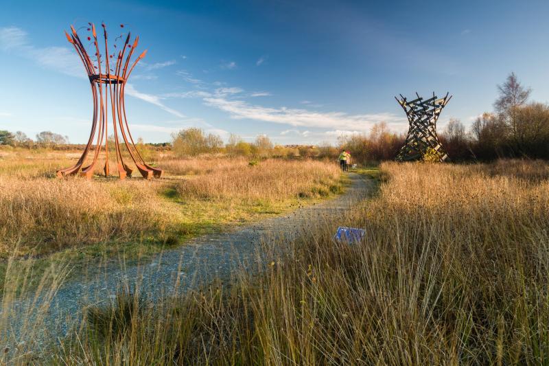Anger in Offaly as local company loses bike hire service at Lough Boora