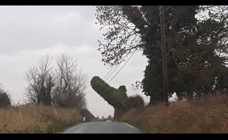 Warning issued with telephone pole hanging perilously over Offaly road 