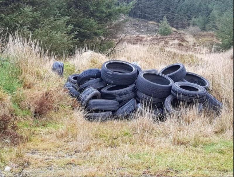 Councils waiting 18 months for rules to use CCTV to detect illegal dumping - Lowry