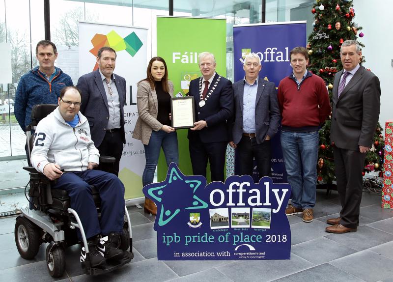 Three outstanding Offaly Community Groups honoured by County Council