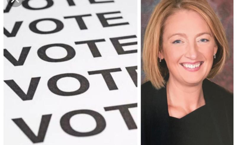 Fianna Fail add Edenderry barrister to local election ticket 