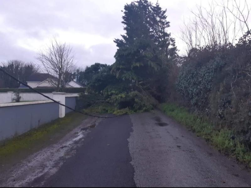 Fallen tree takes out power lines in Offaly as wind warning takes effect 