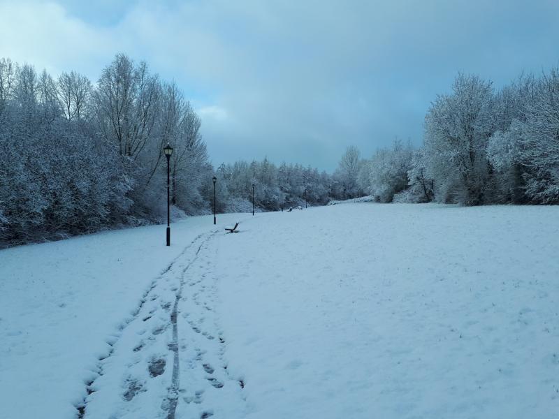 Met Éireann pinpoints when snow and sleet will arrive during 'bitter cold' weather