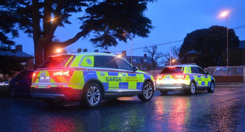 Garda&iacute; stop van in Offaly and make incredible drugs discovery 