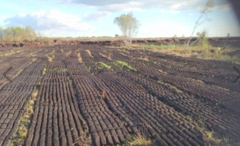 Here's your chance to own a 6.5-acre Offaly bog