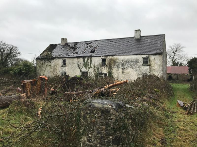 House and land up for sale near Offaly border