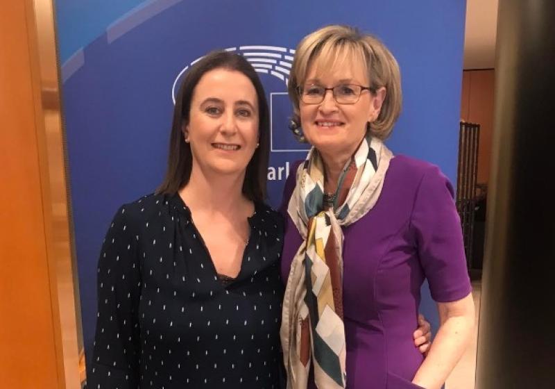 Offaly teacher visits European parliament as part of school programme