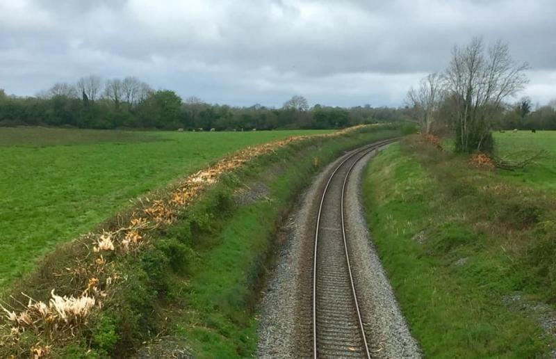 Rail campaign group presents survey results to the National Transport Authority