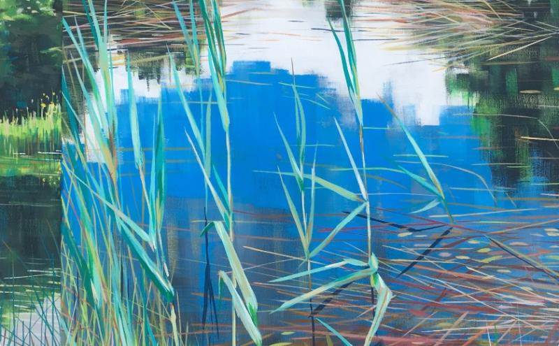 Offaly artist to unveil stunning new exhibition in Tullamore