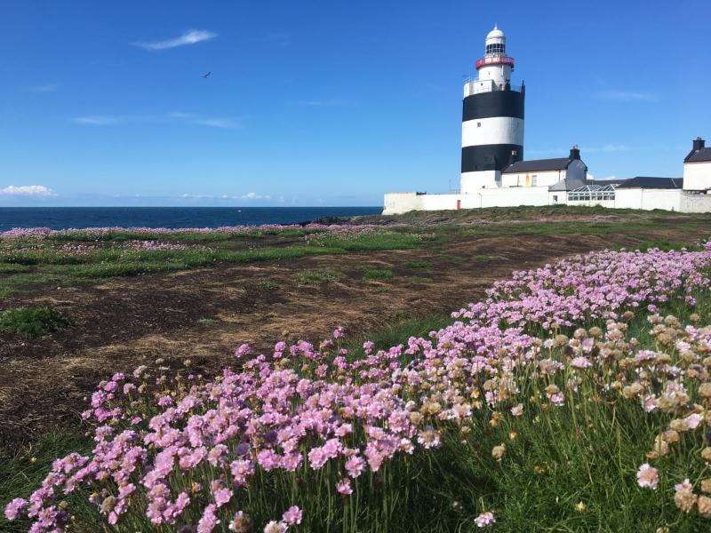 JOBS ALERT: Fancy painting lighthouses around the coast of Ireland? 