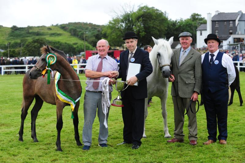 Offaly All-Ireland winner produces champion foal at Connemara Show