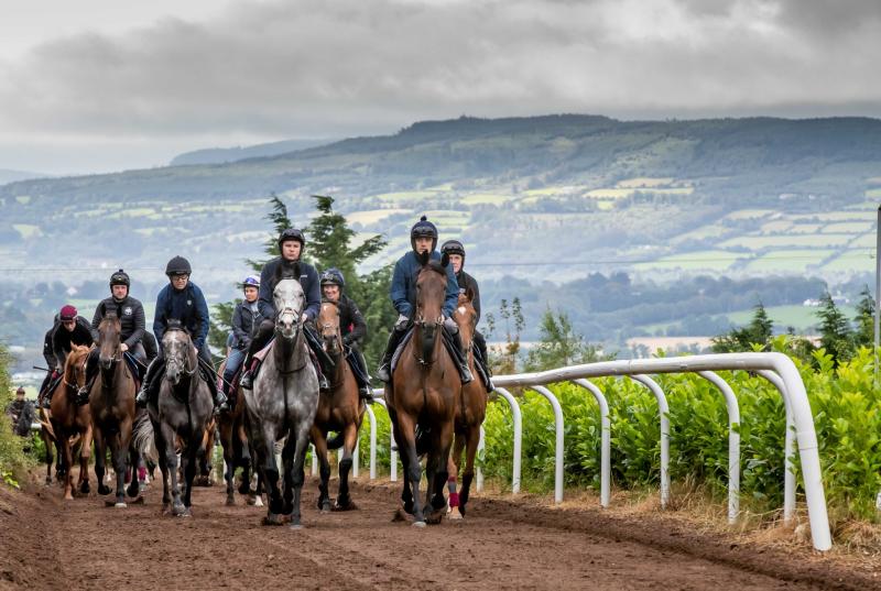 Champions training for Pat Smullen's charity race at the Curragh