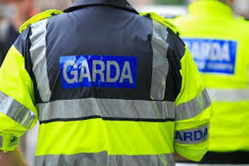 Man called gardaí 'black and tans' in Offaly town incident 