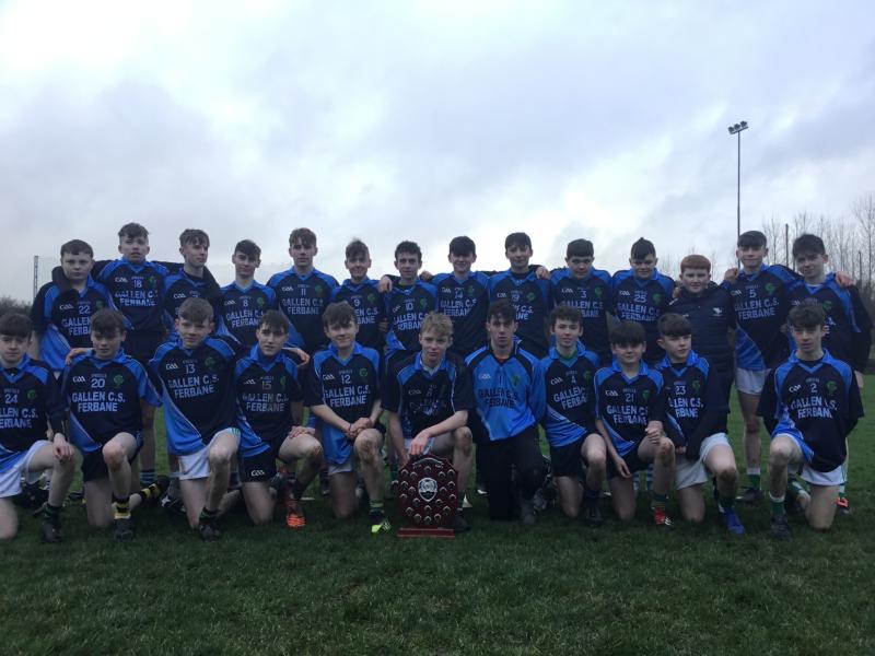 Offaly school claims North Leinster hurling title