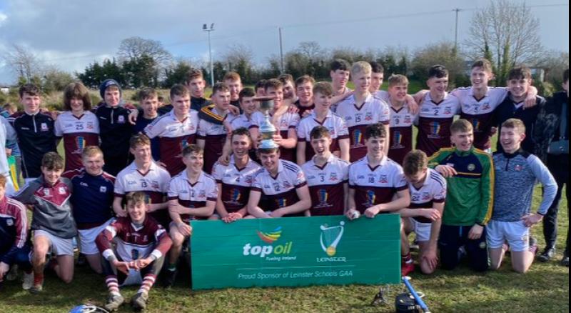 Birr school turns on the style to claim Leinster hurling title