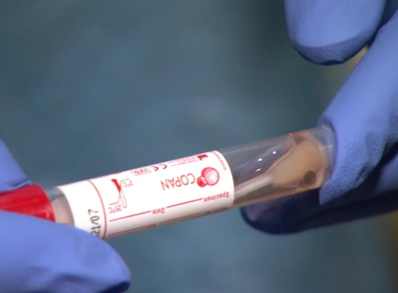 Vaccination should be voluntary say Offaly politicians