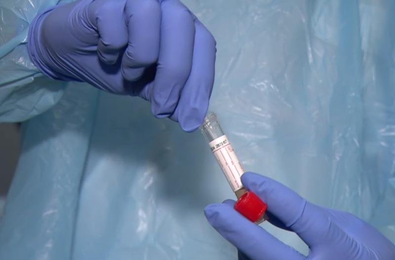 Sport and business should use rapid Covid-19 tests - report 