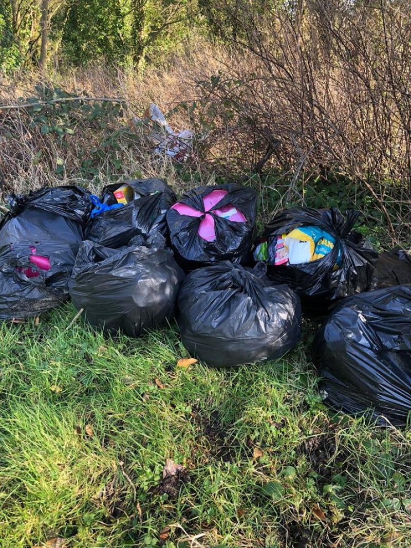 New technology to tackle illegal dumping on the way - Lee