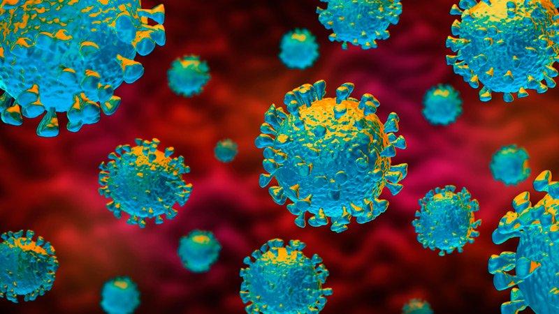 New advice on how long your immunity lasts after Covid-19 infection 