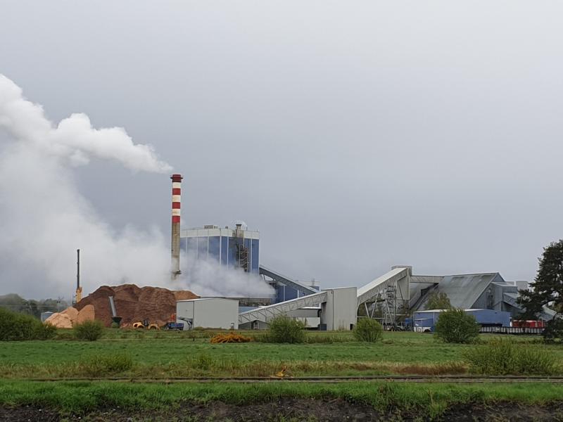Bord na Mona chief says lay-offs go ahead despite planning decision