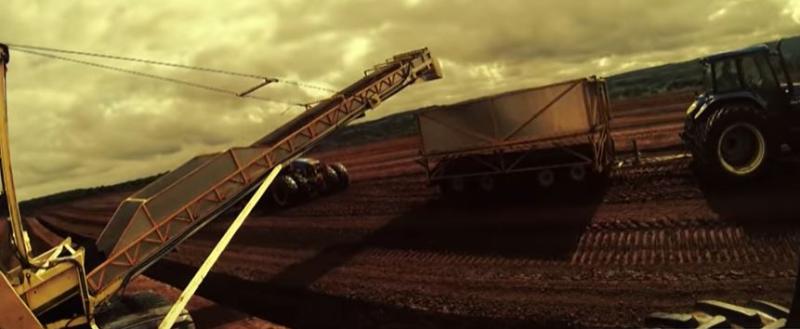 Lay-offs will 'likely remain in place' says Bord na Mona