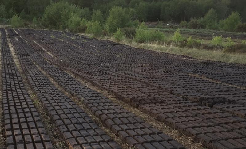Peat harvesting should be protected cultural practice - Offaly TD