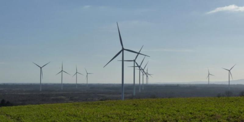 It could be you: Bord na Mona seek owner of Offaly land
