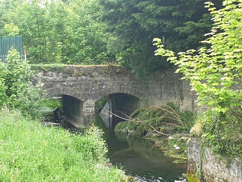 Wetland amenity plan for Offaly river