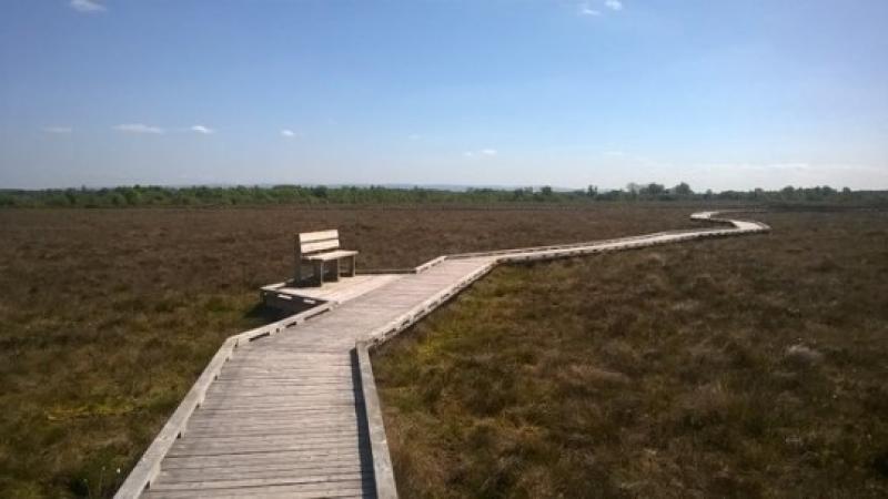 The Where In Offaly Is It Quiz - 9a