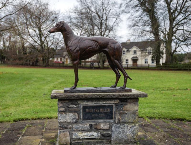 The Where In Offaly Is It Quiz - 3a