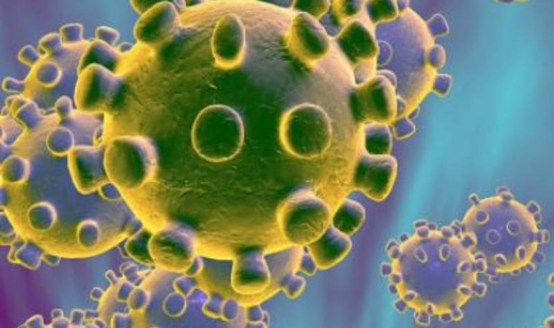 New Offaly coronavirus outbreak confirmed at meat factory