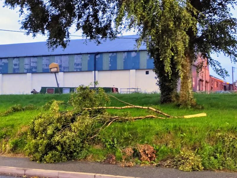 Over 1,000 customers left without power in Offaly after last night's storm