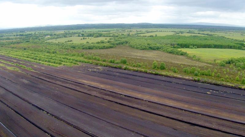 Webinar to look at new future for Ireland's peatlands communities