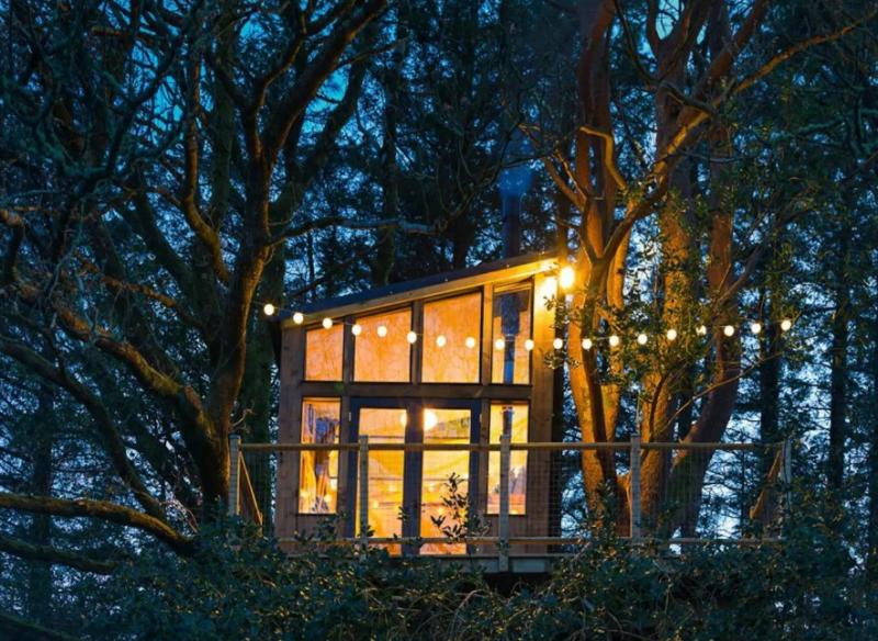 AMAZING: Give your friends staycation envy with this stunning treetop retreat